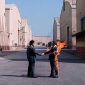 Profile photo of Matteo bellinello