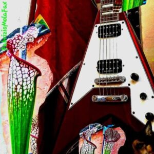 Profile photo of Fabrizio M.