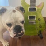 Profile photo of Romina Brandone