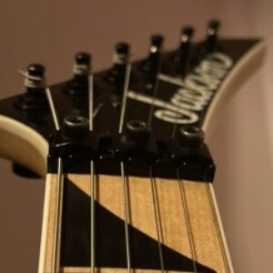 Profile photo of Alessio Tricani